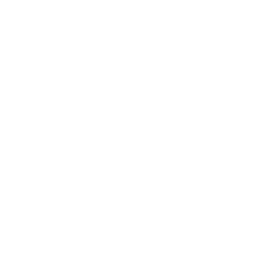 ce logo Middle Island